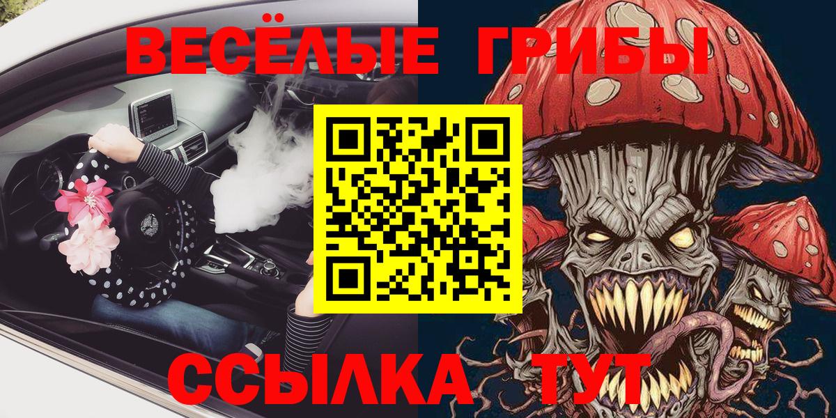 Малоярославец  Галлюциногенные грибы прущие грибы  Вход с VPN 
