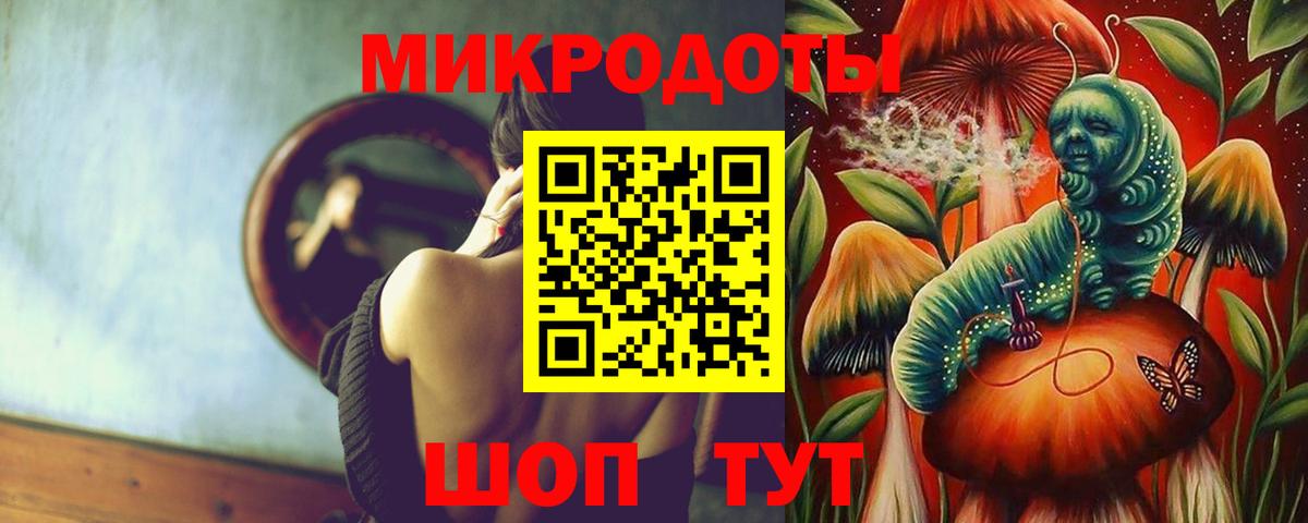 Псилоцибиновые грибы мицелий Малоярославец